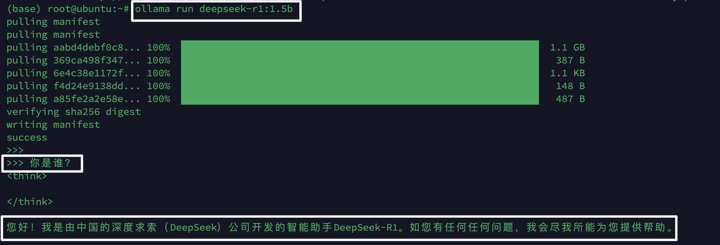 DeepSeek R1 模型下载过程