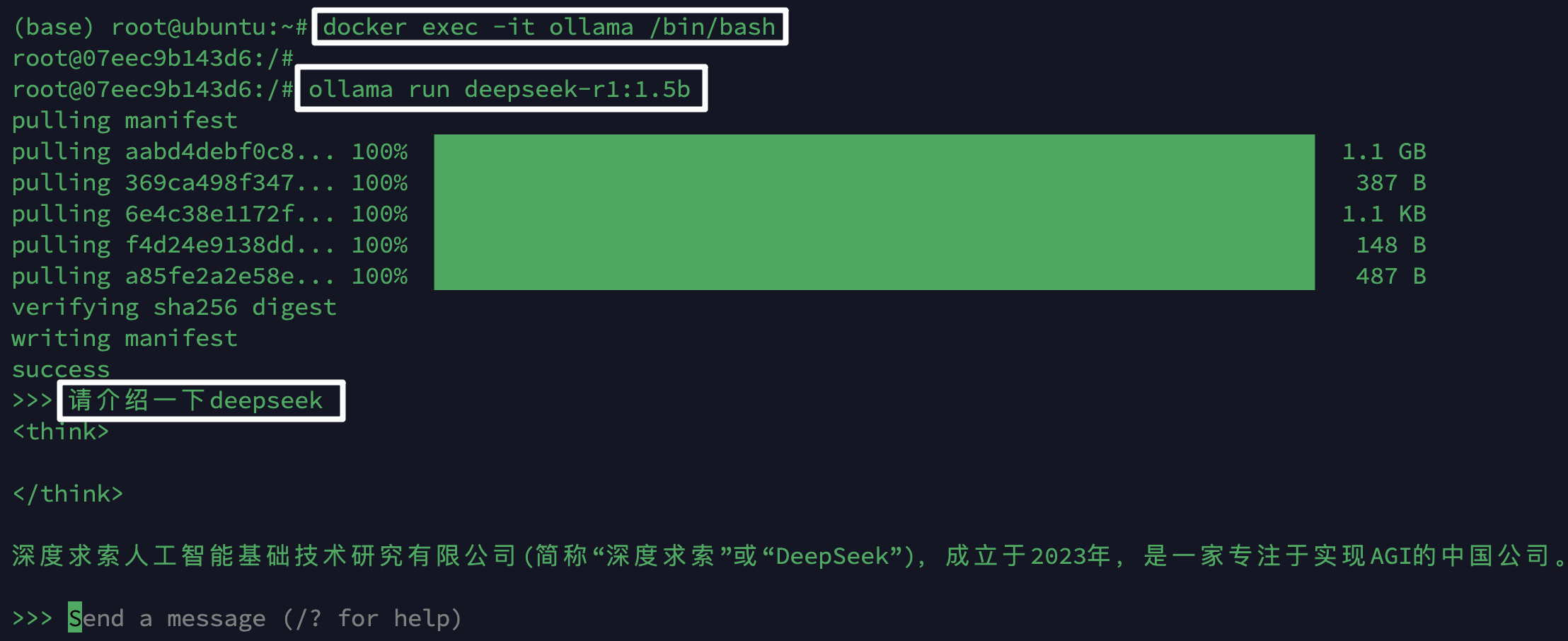 Docker部署成功截图